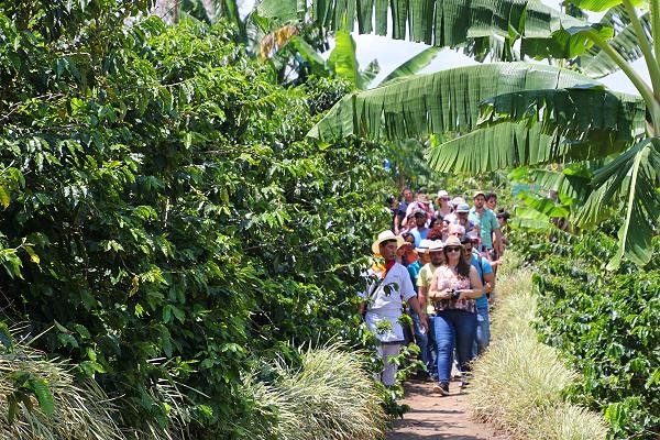 Sendero cafetero en RECUCA - Quindío
