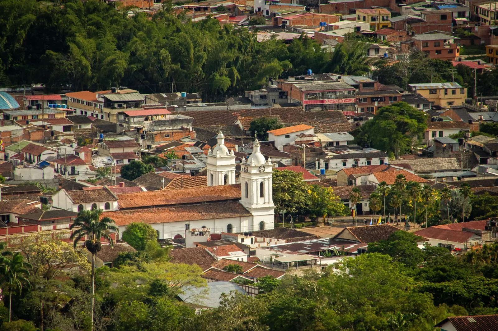 Finca Cafetera