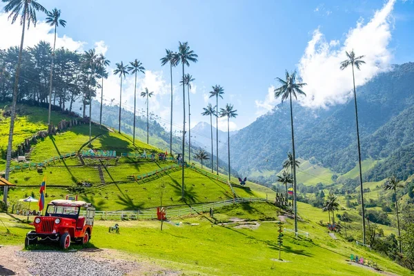 Palmas de Cera del Quindío - Símbolo natural de Colombia